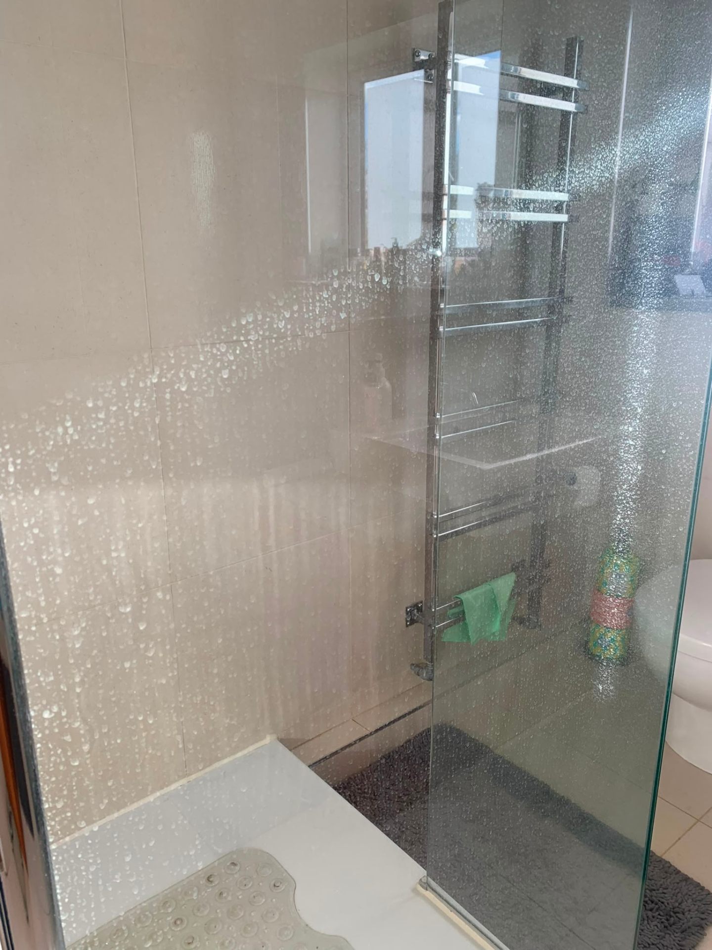Shower screen before cleaning